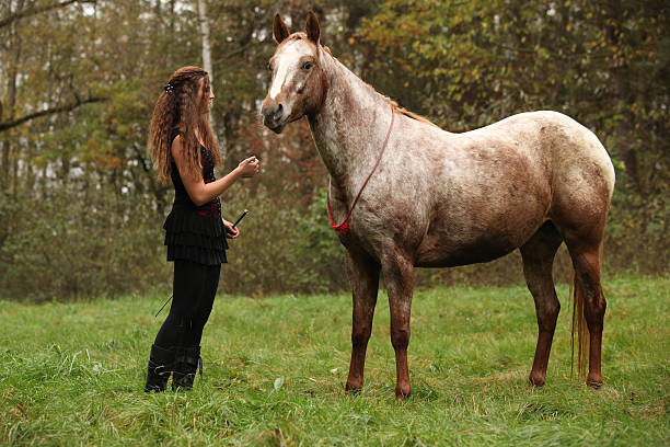 Cavallo ritratto